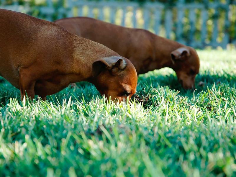 accessibility screenshot 3